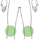 膝の部位画像